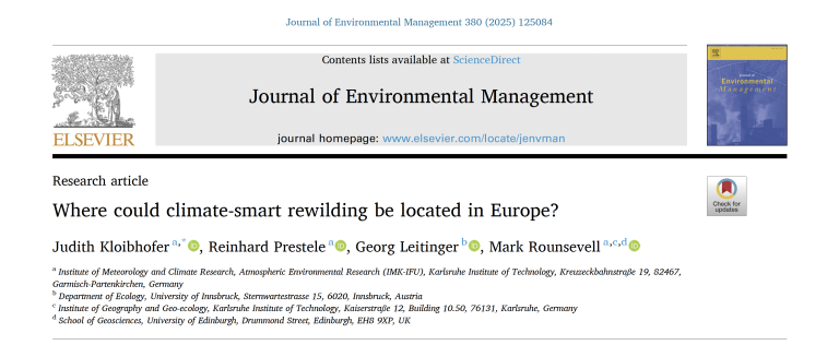 Screenshot of the title of the paper in the online journal.