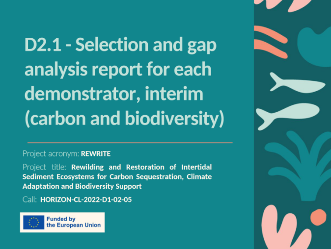 Screenshot of the cover of D2.1.