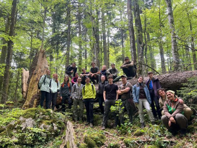 A group of people standing in a forest near a fallen tree trunk.