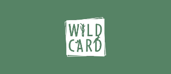 wildcard teaser image