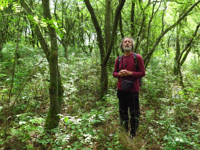 Person stood in woodland with binoculars.