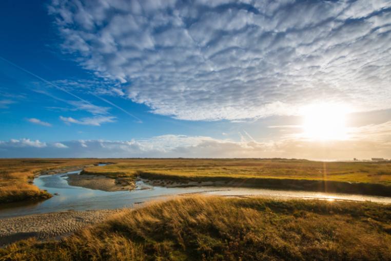 Sun shining over a saltmarsh with grass hummocks and water in channels.