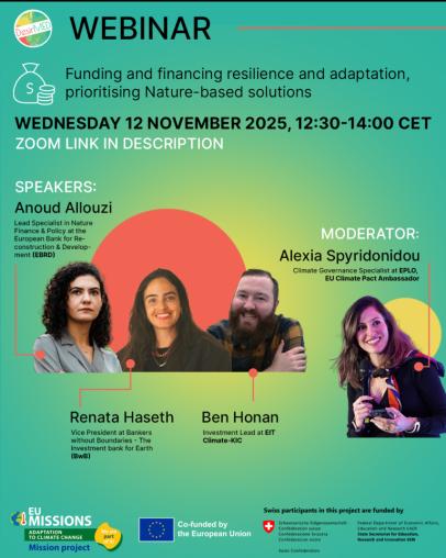 Poster with the title and instructors of the webinar