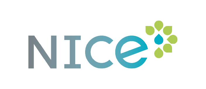 NICE logo - gradient