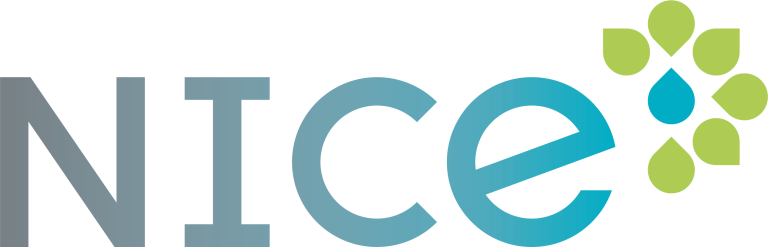 NICE logo - gradient