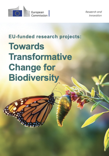 Towards transformative change for biodiversity report cover with a butterfly on a plant