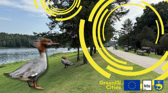 Picture showing an urban park with birds