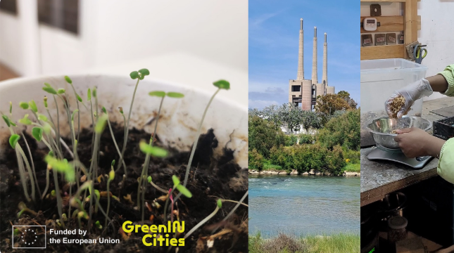 Picture collage with plants, urban scenes and workshops
