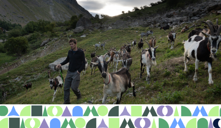 Mountain pasture with goats