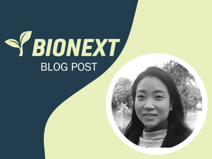 blog post cover