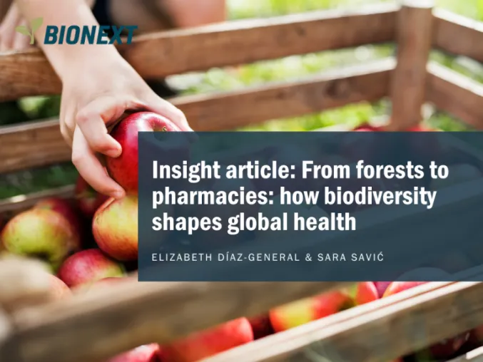 insight article
