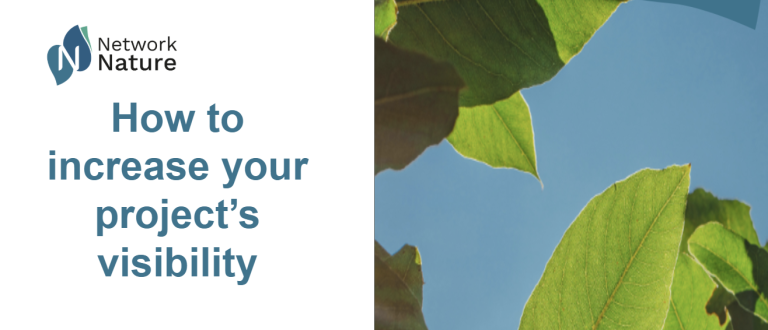 Image of leaves with the text how to increase your project's visibility