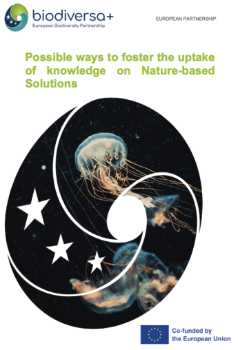 report cover