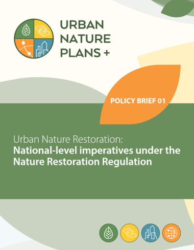 NRR policy brief