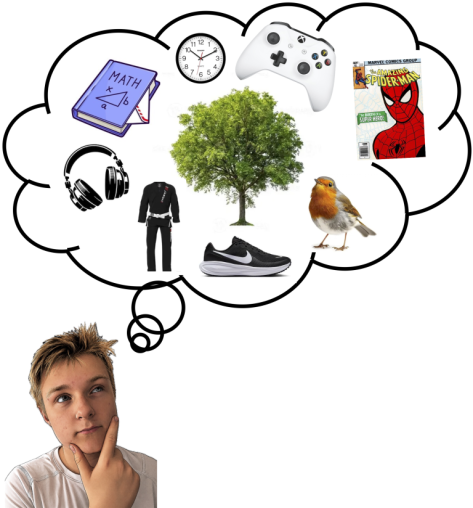 A teenager's view on engaging young people with nature