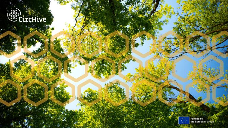 tree canopies