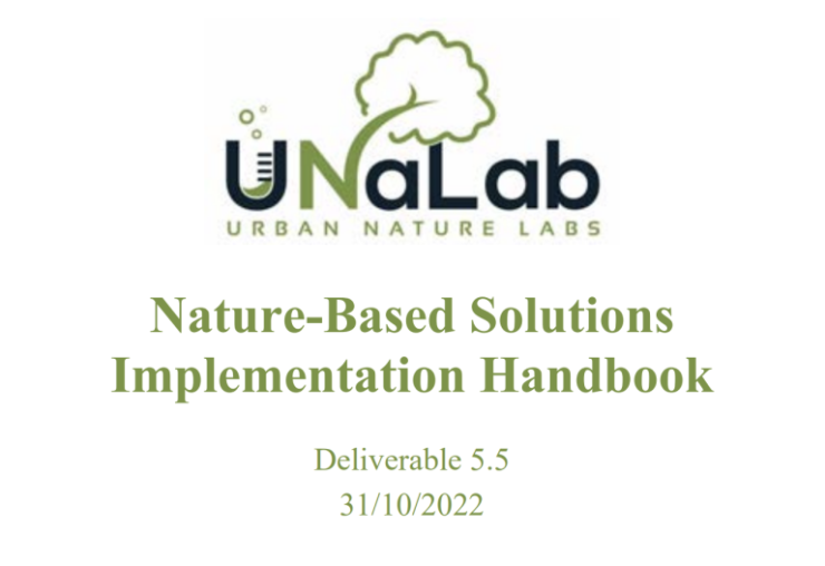 NBS Implementation Handbook report cover