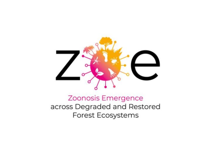 ZOE's logo