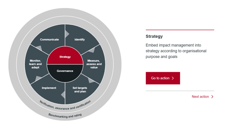 The Actions of Impact Management