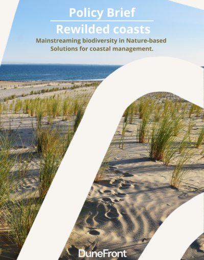 Cover of the policy brief, showing the DuneFront logo overlaid on a photo of recently planted marram grass