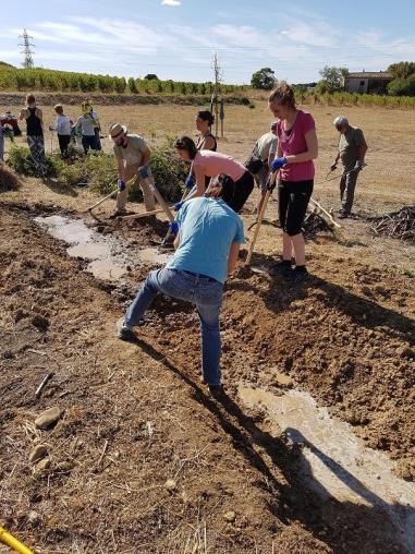 People digging a trench with water in the bottom of it. 