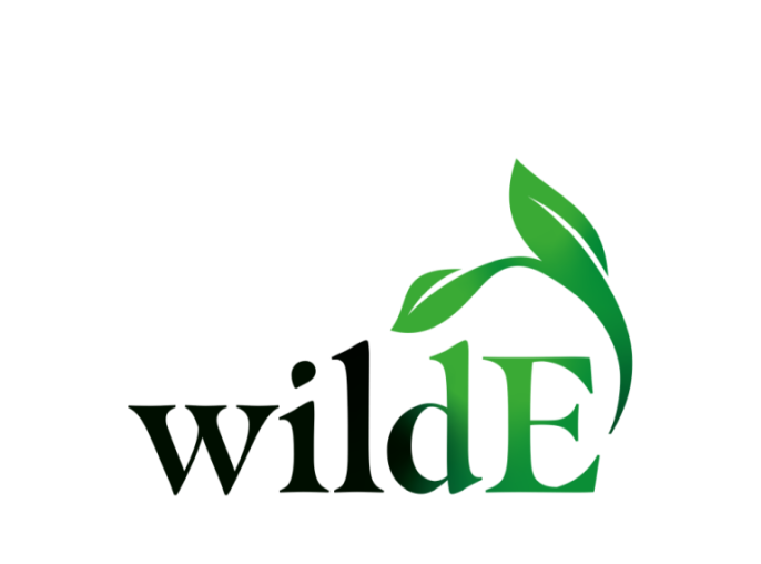 wildE logo
