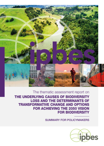  Thematic Assessment Report on the Underlying Causes of Biodiversity Loss and the Determinants of Transformative Change and Options for Achieving the 2050 Vision for Biodiversity