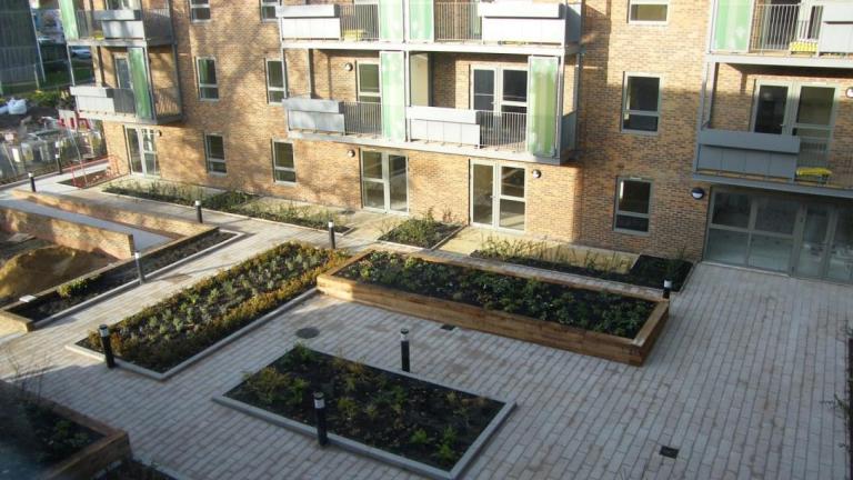 Rectangular planters surrounded by buildings and paving.