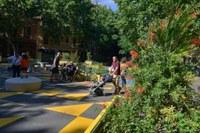 Green street in Barcelona with trees and planters. 