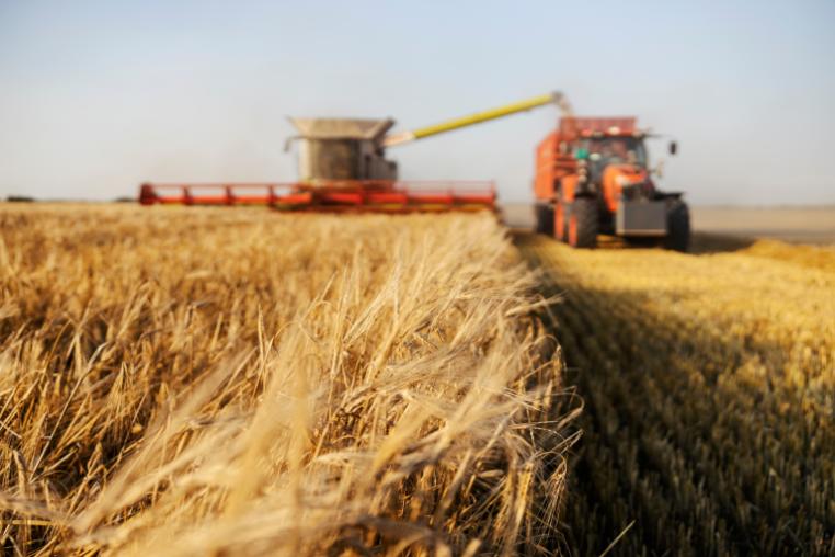 biodiversity in supply chains