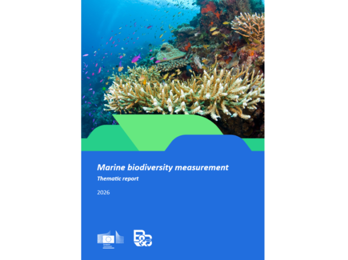 Report Cover