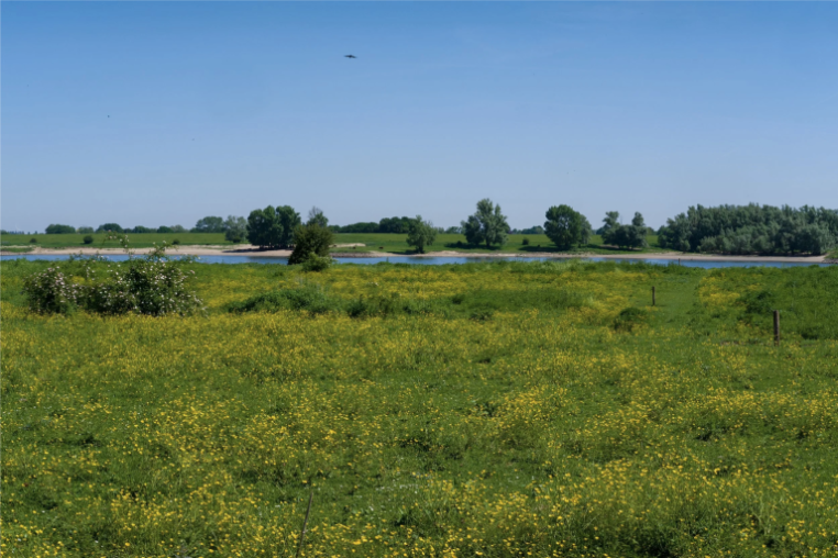Flat grassland with river and trees in the distance.