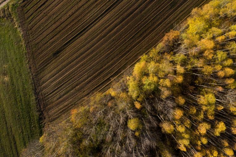 biodiversity loss birdseye view