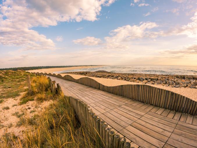 Sand, fencing and fencing on the Ovar coastline in Portugal. 