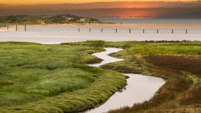 River flowing into the sea on a sunset 