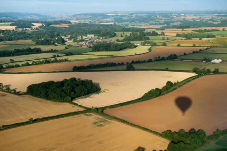 Large, rectangular agricultural fields, bound by hedgerows with occasonal tree groups. 