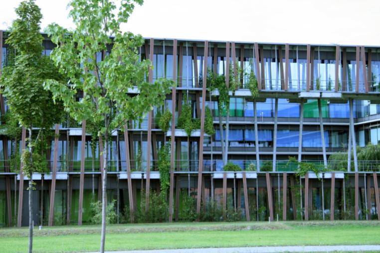 The front of a building with amenity grass and trees in the foreground.