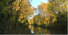 A wide tree lined river with mature deciduous trees growing on either bank.