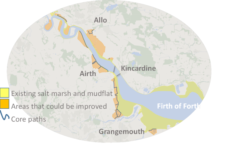 A map of the Firth of Forth showing existing saltmarshes and mudflats, and potential areas of improvement along the shores.