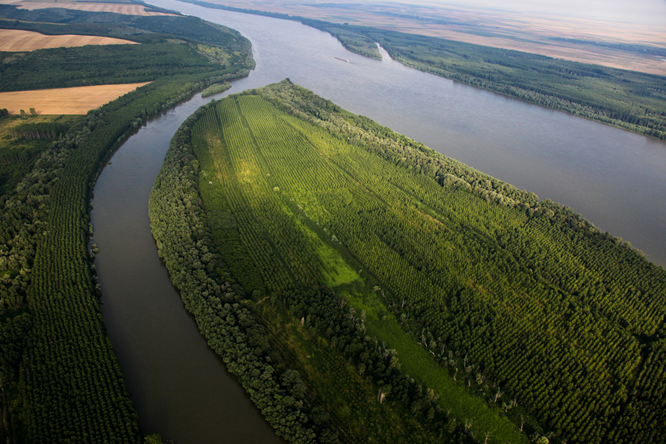 The Danube flowing through the flat agricultural landscape, there is a tributary to one side flowing into the river.