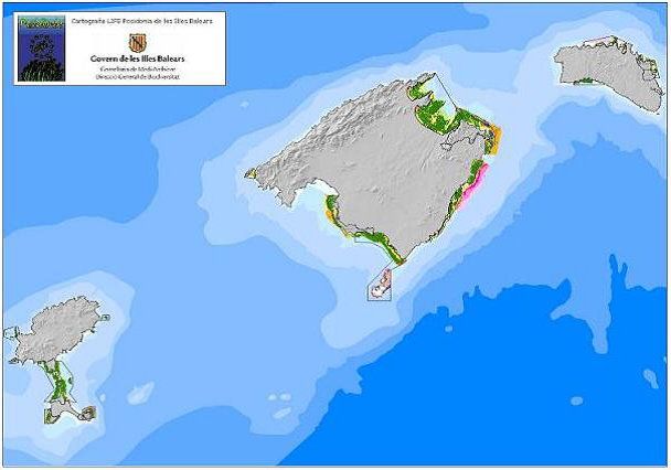 A satellite map of three Balearic islands, the shorelines are categorised using green colours.