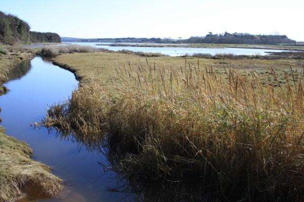 A coastal marsh with grassland and inlets in Fingal.