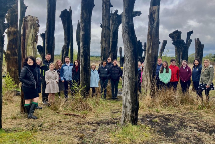 People stood between large tree trunks on a peatland.