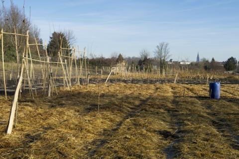 An open area with planting structures.