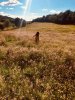 Girl enjoying meadows