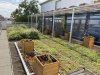Combination of green roofs and facades