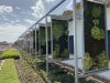 mBiGToldo is one of thegreen facades implemented in this school