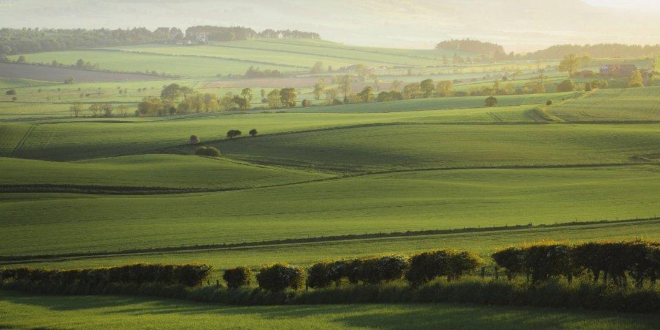 News_image_UK