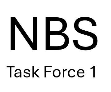 NBS Task Force 1 logo