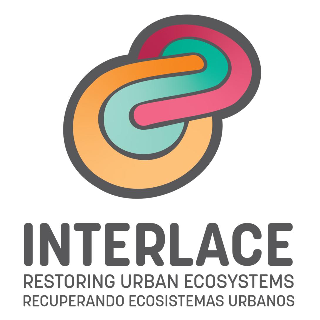 IINTERLACE logo